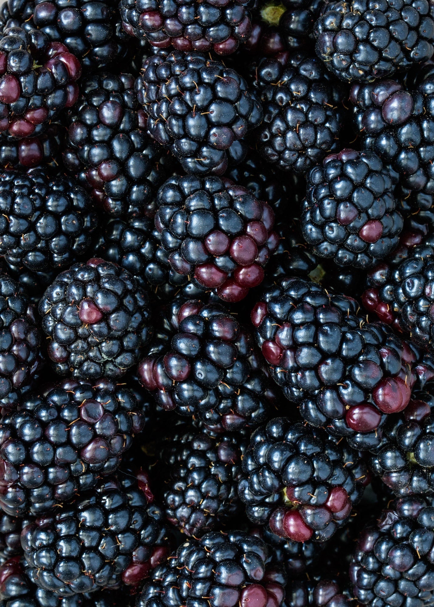 Close-up of blackberries with a focus on texture and color.